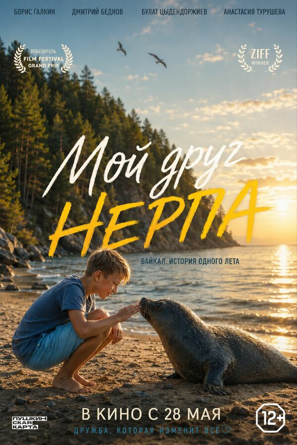 Мой друг нерпа - постер фильма
